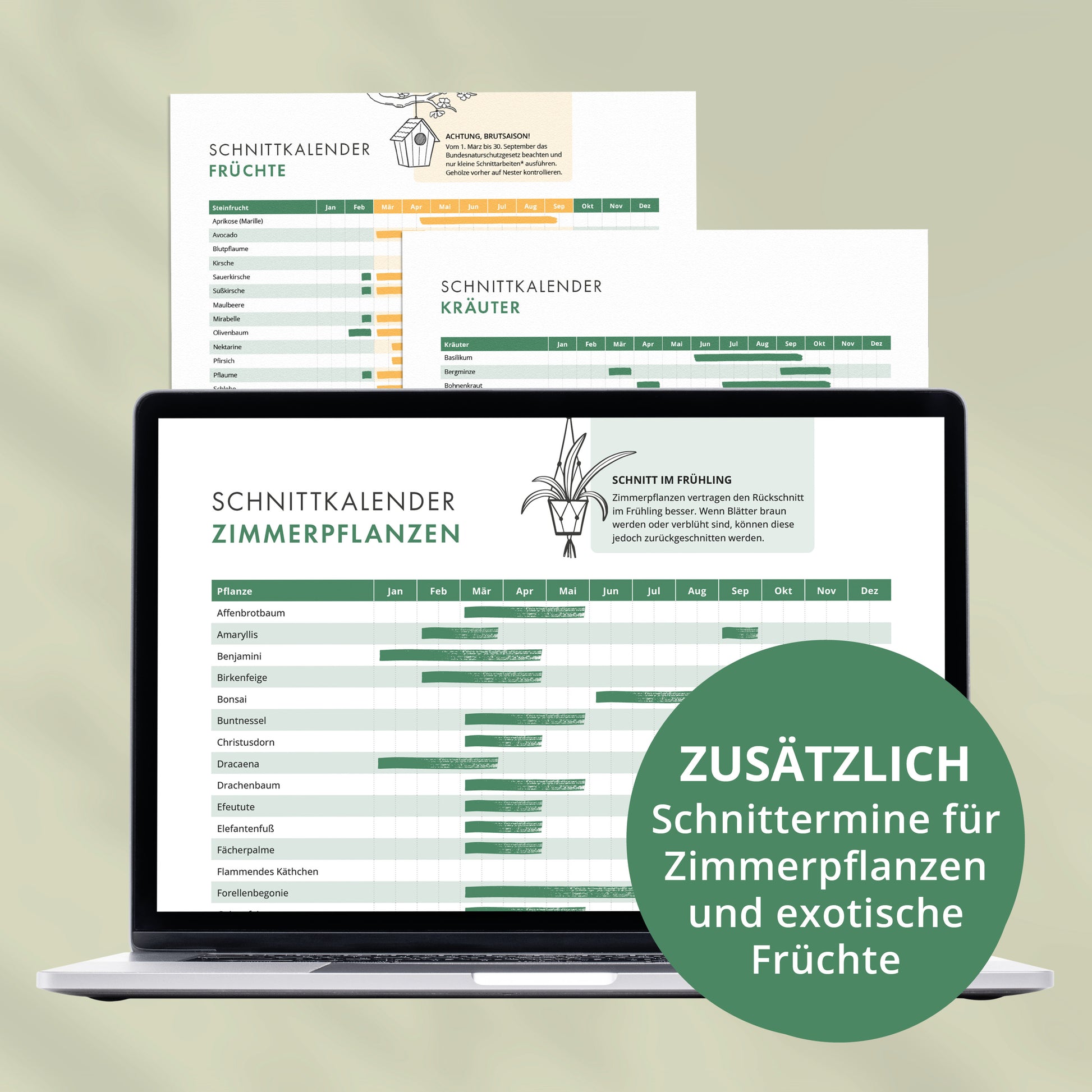 Schnittkalender für Zimmerpflanzen, Kräuter und exotische Früchte mit Übersicht der besten Schnitttermine im Jahresverlauf