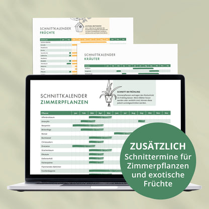 Schnittkalender für Zimmerpflanzen, Kräuter und exotische Früchte mit Übersicht der besten Schnitttermine im Jahresverlauf