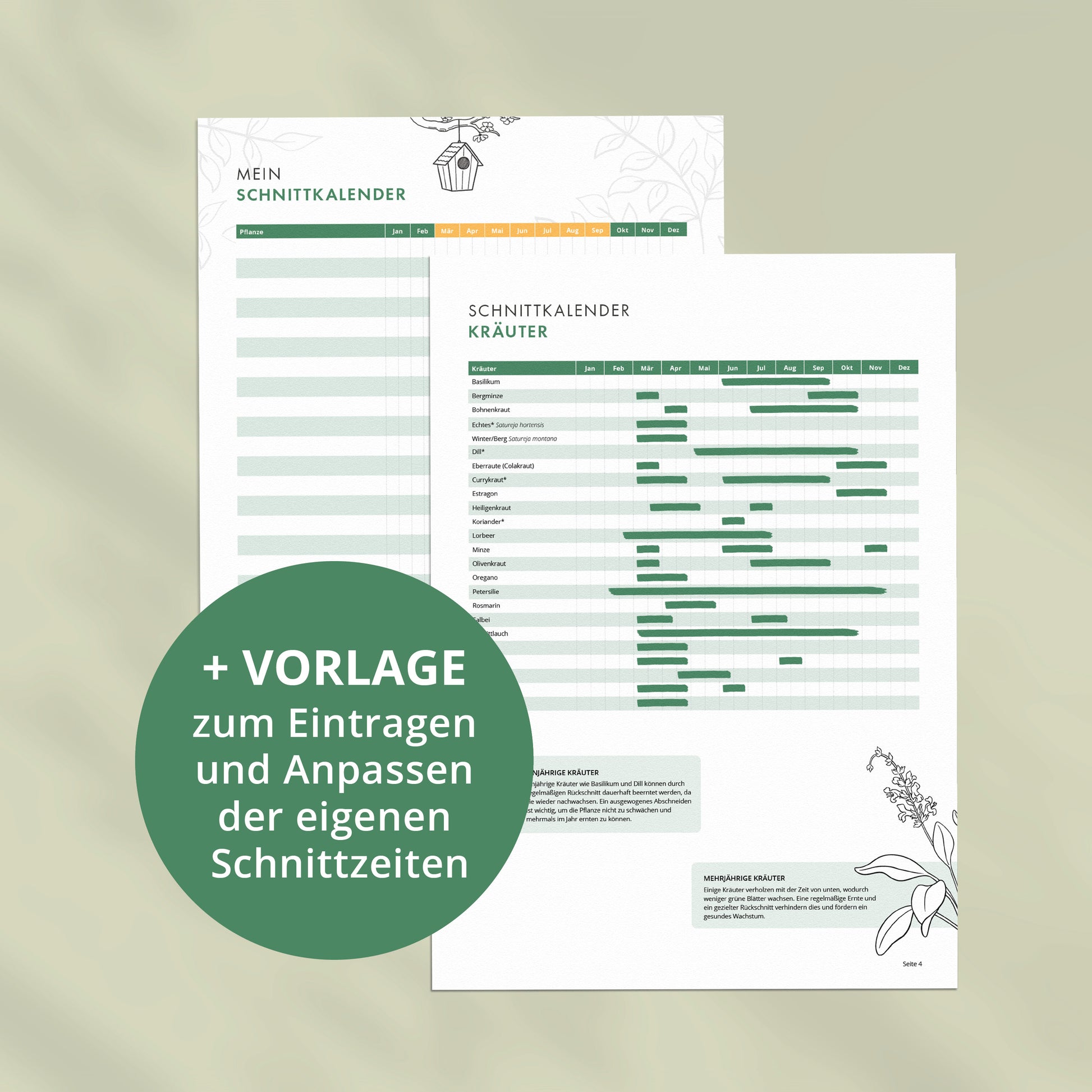 Schnittkalender für Kräuter mit ausfüllbarer Vorlage zum Eintragen und Anpassen eigener Schnittzeiten