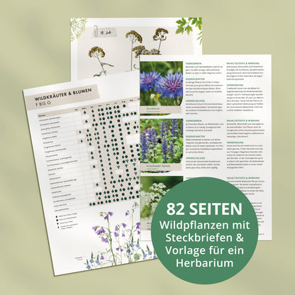 Wildpflanzen-Handbuch mit Steckbriefen, Sammelkalender und Herbarium-Vorlage für heimische Wildkräuter und Blumen