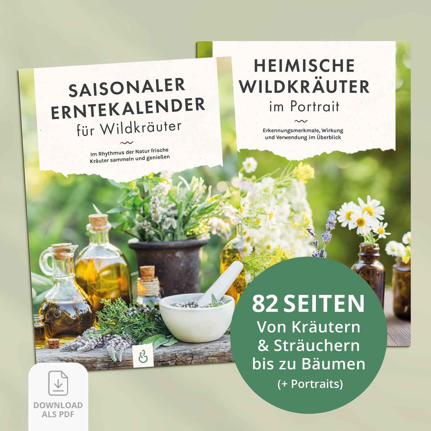 Wildkräuterkalender mit Steckbriefen (PDF)